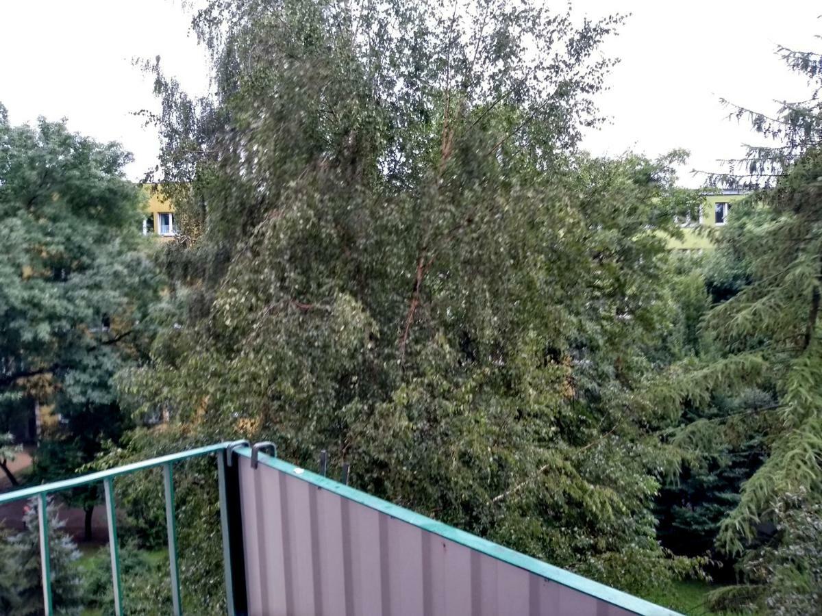 Mieszkanie 2 Ul. Skrzetuskiego Lsm * Lublin